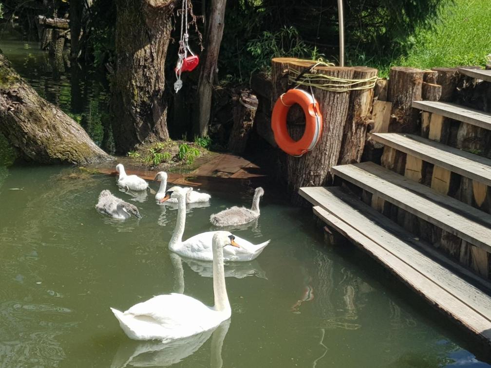 River Houses Ljubljanica リュブリャナ エクステリア 写真
